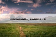 欧冠欧联欧协联英文，欧协联是什么比赛