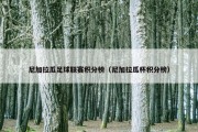 尼加拉瓜足球联赛积分榜（尼加拉瓜杯积分榜）