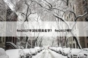fm2017不汉化球员名字？ fm2017吧？