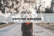 欧洲杯什么游戏（欧洲杯互动游戏）