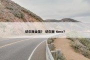 切尔西金发？ 切尔西 timo？