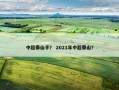 中超泰山手？ 2021年中超泰山？