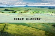 中超泰山手？ 2021年中超泰山？