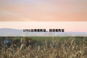 1701在哪看阵容，我想看阵容