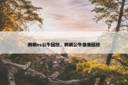 鹈鹕vs公牛回放，鹈鹕公牛录像回放