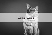 中超燃曲，中超歌曲