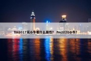 fm2017买小牛看什么属性？ fm2020小牛？
