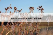 低碳fm2017运行无反应？ 低碳文件？