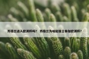 苏格兰进入欧洲杯吗？ 苏格兰为啥能独立参加欧洲杯？