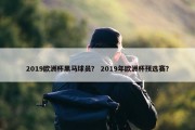 2019欧洲杯黑马球员？ 2019年欧洲杯预选赛？