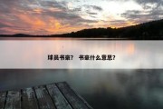 球员书豪？ 书豪什么意思？