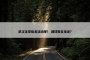 武汉足球接龙活动规？ 踢球报名接龙？