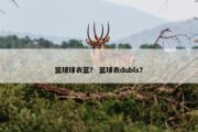 篮球球衣蓝？ 篮球衣dubls？
