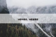 b超中质控，b超室质控