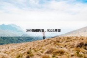 205最强阵容，5221阵容