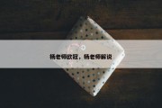杨老师欧冠，杨老师解说