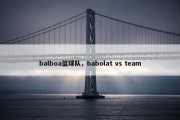 balboa篮球队，babolat vs team