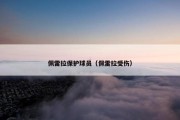佩雷拉保护球员（佩雷拉受伤）