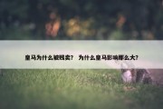 皇马为什么被贱卖？ 为什么皇马影响那么大？