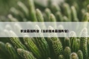 职业最强阵容（当前版本最强阵容）