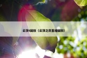 云顶t回放（云顶之弈直播回放）