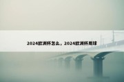 2024欧洲杯怎么，2024欧洲杯用球