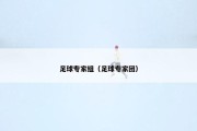 足球专家组（足球专家团）