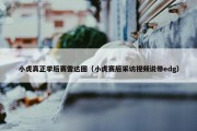 小虎真正季后赛雷达图（小虎赛后采访视频说带edg）
