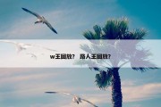 w王回放？ 路人王回放？