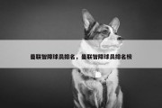 曼联智障球员排名，曼联智障球员排名榜