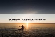 关足球趣事？ 足球趣事作文300字三年级？