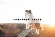 8000千万先生皇马？ 八千万是谁？
