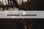 欧文离开利物浦吗，欧文是利物浦还是曼联