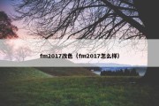 fm2017改色（fm2017怎么样）