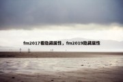 fm2017看隐藏属性，fm2019隐藏属性