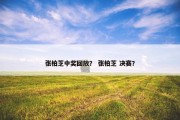 张柏芝中奖回放？ 张柏芝 决赛？