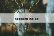 乌多吉英超更佳（乌多·基尔）