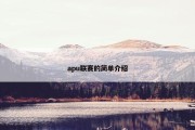 apu联赛的简单介绍