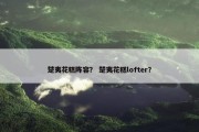 楚夷花糕阵容？ 楚夷花糕lofter？