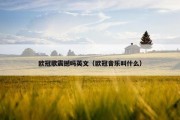 欧冠歌震撼吗英文（欧冠音乐叫什么）