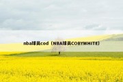 nba球员cod（NBA球员COBYWHITE）