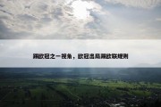 踢欧冠之一视角，欧冠出局踢欧联规则