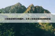 二年级足球积分榜图片，小学二年级足球训练视频教程
