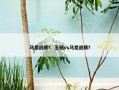 马龙战绩？ 王皓vs马龙战绩？