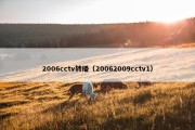 2006cctv转播（20062009cctv1）