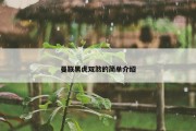 曼联黑虎双煞的简单介绍