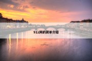 91z网的简单介绍