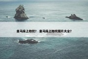 皇马床上抱枕？ 皇马床上抱枕图片大全？