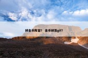 掉金币阵容？ 金币掉落gif？