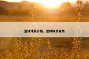 篮球球员分档，篮球球员分类